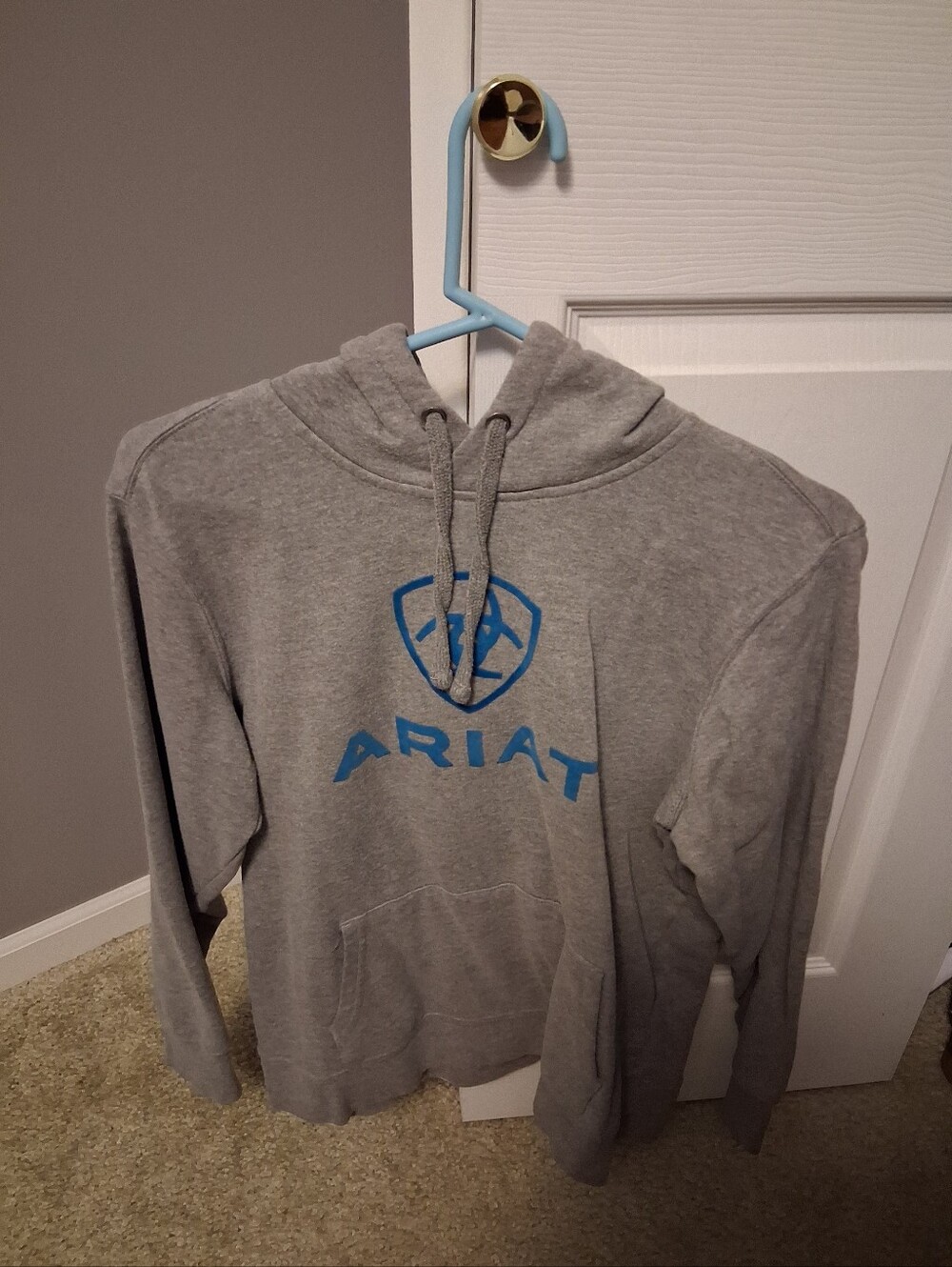Women's Ariat hoodie